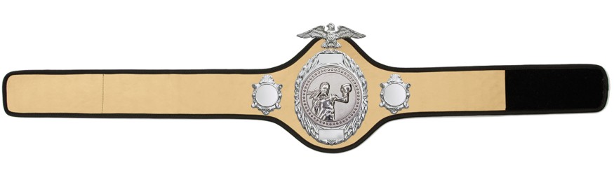 FEMALE BOXING CHAMPIONSHIP BELT-PRO288/S/FEMBOXS - 10 COLOURS FEMALE BOXING CHAMPIONSHIP BELT-PRO288/S/FEMBOXS - 10 COLOURS